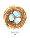 Little blue dot eggs in nest Royalty Free Stock Photo