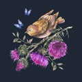 Watercolor bird, purple thistle, blue butterflies, wild flowers illustration, meadow herbs