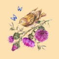 Watercolor bird, purple thistle, blue butterflies, wild flowers illustration, meadow herbs