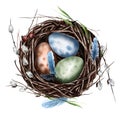 Watercolor bird`s nest with painted eggs. Branches, leaves, feathers, pussy willow. Illustration for Easter. Suitable for Royalty Free Stock Photo