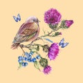 Watercolor bird with thistle, blue butterflies, berries, wild flowers illustration, meadow herbs Royalty Free Stock Photo