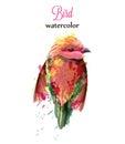 Watercolor bird Vector. Colorful tropic painted style Royalty Free Stock Photo
