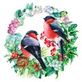 Watercolor birds, Christmas wreath with bullfinches, hand drawn on isolated white background Royalty Free Stock Photo