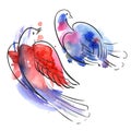 Watercolor birds