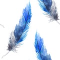 Watercolor black blue jay feather seamless pattern texture background