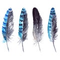 Watercolor black and blue jay feather set Royalty Free Stock Photo