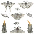 Watercolor black butterfly moths, candles and leaves