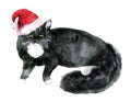 Watercolor cat. Beautiful postcard. Christmas postcard