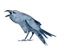 Watercolor black crow, raven, bird, Halloween hand drawn illustration
