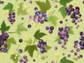 Watercolor black currant seamless pattern. Summer berries, fruits, leaves, flowers background Royalty Free Stock Photo