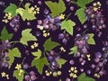 Watercolor black currant seamless pattern. Summer berries, fruits, leaves, flowers background