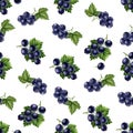 Watercolor black currants seamless pattern.