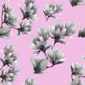 Watercolor black magnolia on pink background pattern