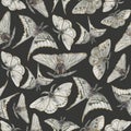 Watercolor black moths, seamless pattern