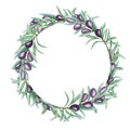 Watercolor black olive tree branch leaves wreath, Realistic olives illustration on white background, Hand painted Frame Royalty Free Stock Photo