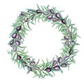 Watercolor black olive tree branch leaves wreath, Realistic olives illustration on white background, Hand painted Frame Royalty Free Stock Photo