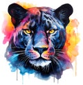 Watercolor black panther mascot portrait colorful painting. Realistic wild animal illustration on white background Royalty Free Stock Photo