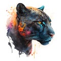 Watercolor black panther portrait, colorful painting. Realistic wild animal illustration. Created with Generative AI technology Royalty Free Stock Photo