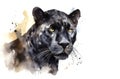 Watercolor black panther. Royalty Free Stock Photo