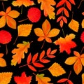 Watercolor black pattern of autumn leaves.