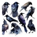Watercolor Black Ravens, Set of Illustrations Isolated on White - Gothic Witchcraft Artwork