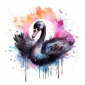 Watercolor black swan. Illustration AI Generative Royalty Free Stock Photo