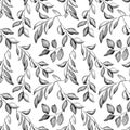 Watercolor black and white citrus leaves seamless pattern. Hand drawn monochrome twigs and tree branches illustration Royalty Free Stock Photo