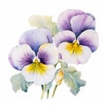 Delicate Realism: Watercolor Painting Of Purple Pansies