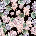 Watercolor blooming cactus background. Exotic cacti with flowers, seamless pattern. Succulent plants and cactus garden pattern.