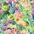 Watercolor blooming cactus background Royalty Free Stock Photo