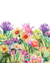 Watercolor blooming cactus background Royalty Free Stock Photo