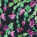 Watercolor Blooming Christmas Cactus Seamless Pattern, Thanksgiving cactus, Flowers Schlumbergera