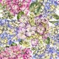 Watercolor blooming hydrangea seamless pattern, leaves, buds. Natural botanical floral texture Royalty Free Stock Photo