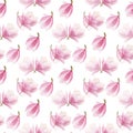 Watercolor blooming magnolia pattern isolated on white background. seamless spring design. Royalty Free Stock Photo