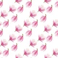 Watercolor blooming magnolia seamless pattern isolated on white background. Royalty Free Stock Photo
