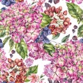 Watercolor blooming pink hydrangea seamless pattern, leaves, buds, blue berries. Natural botanical floral texture Royalty Free Stock Photo