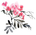 Watercolor blossom tree Royalty Free Stock Photo