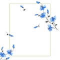Watercolor blossoming spring branch with blue flowers on a white background. Floral decoration. Birthday card.