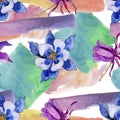 Watercolor blue aquilegia flower. Floral botanical flower. Seamless background pattern.
