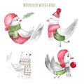 Watercolor winterbirds on white background with scarfs and hats. Nice cartoon animas for card greetings Royalty Free Stock Photo