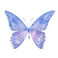 Watercolor blue butterfly