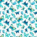 8027 Watercolor blue butterfly pattern. Delicate texture Royalty Free Stock Photo