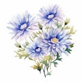 Watercolor Blue Chrysanthemum Flowers On Background - Charming Illustrations Royalty Free Stock Photo