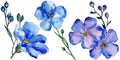 Watercolor blue flax flowers. Floral botanical flower. Isolated illustration element.