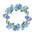 Watercolor blue forget-me-not flower. Floral botanical flower. Frame border ornament square. Royalty Free Stock Photo