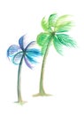 Watercolor of blue and green coconut trees are blown by the wind illustration Royalty Free Stock Photo