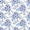 Watercolor blue hydrangea flowers and fern seamless paper. garden florals repeat pattern