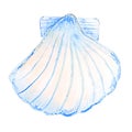 Watercolor blue isolated shell front view. illustration with shell on a white background. Use for print design flyers