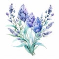 Watercolor Blue Lavender Flowers With Leaves Isolated On White Background