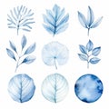 Watercolor Blue Leaf Collection: Monochromatic Compositions Of Fauna And Flora
